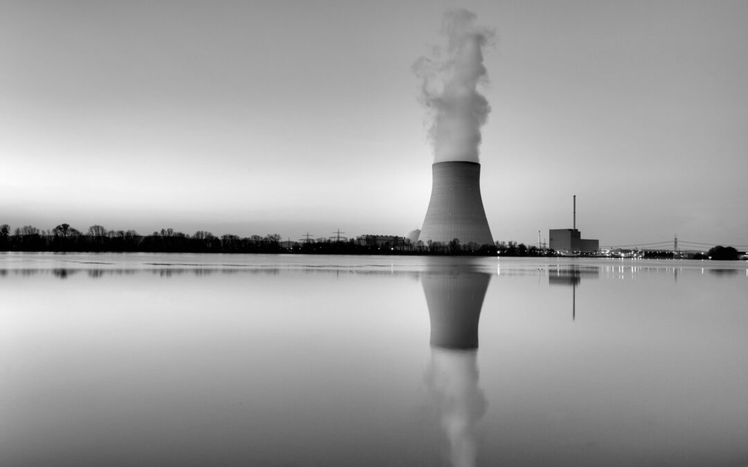 Nuclear Power Plants (NPP & SMR)